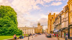 Local Insights and Cultural Integration